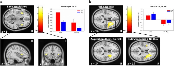 Modulation Of Defensive Reactivity By Glrb Allelic Variation Converging Evidence From An Intermediate Phenotype Approach Translational Psychiatry