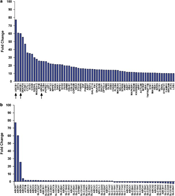 Identification Of Genes That Confer Tumor Cell Resistance To The Aurora B Kinase Inhibitor Azd1152 The Pharmacogenomics Journal