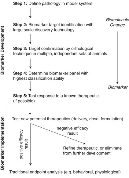A Multistep Validation Process Of Biomarkers For Preclinical Drug Development The Pharmacogenomics Journal