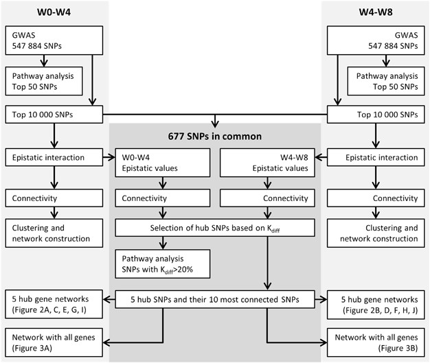 Systems Genetics Analysis Of Pharmacogenomics Variation During Antidepressant Treatment The Pharmacogenomics Journal