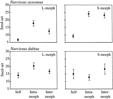 Evolution and maintenance of stigma-height dimorphism in narcissus. Ii. Fitness comparisons between style morphs