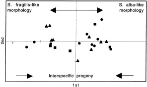 Rapd of controlled crosses and clones from the field suggests that hybrids are rare in the salix alba–salix fragilis complex
