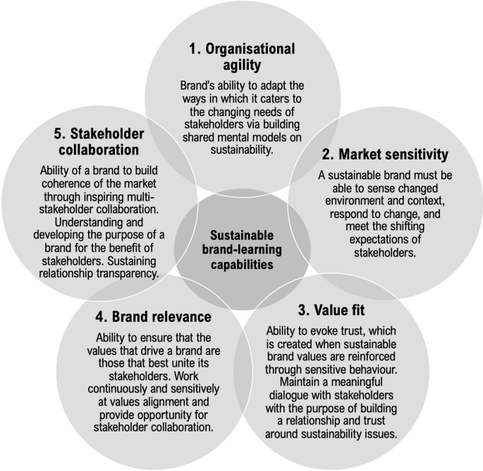 Brand management and sustainability: exploring potential for the  transformative power of brands