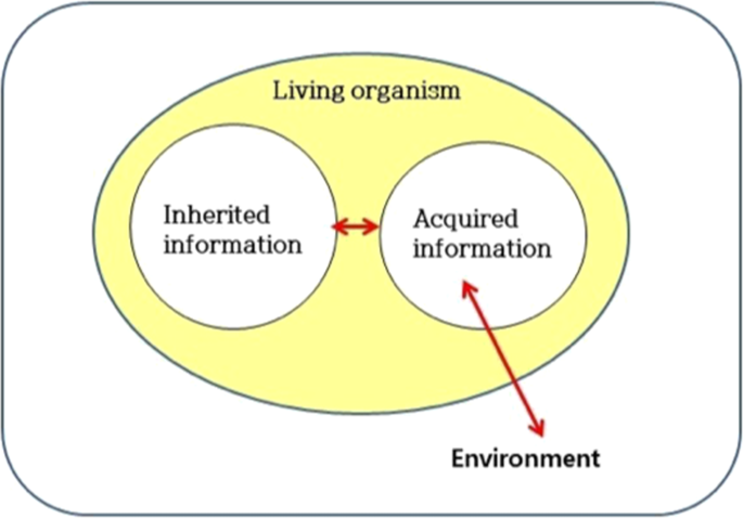 Emergence Of Complexity In Poetry Soleils Couchants By Verlaine Humanities And Social Sciences Communications Emergence Of Complexity In Poetry Soleils Couchants By Verlaine Humanities And Social Sciences Communications