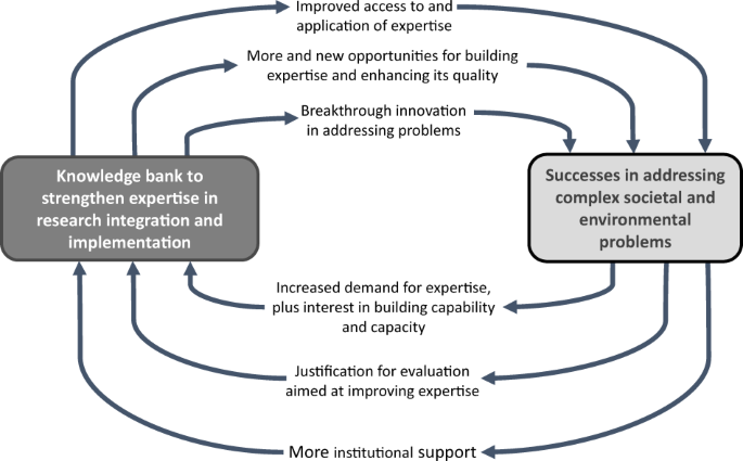 Expertise in research integration and implementation for tackling complex  problems: when is it needed, where can it be found and how can it be  strengthened?