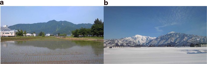 Associations of physical activity in rural life with happiness and ikigai: a cross-sectional study