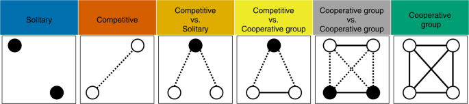The Austronesian Game Taxonomy A Cross Cultural Dataset Of Historical Games Humanities And Social Sciences Communications