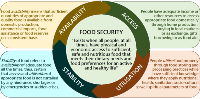 A Guide to Implementing Nutrition and Food Security Surveys