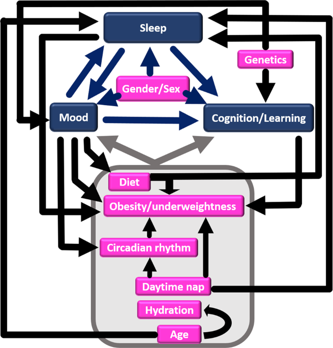 Light & Sleep: Effects on Sleep Quality