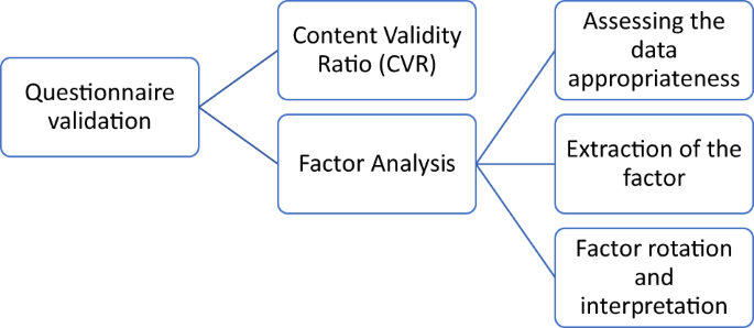 Validation of Competencies in E-Portfolios: A Qualitative Analysis