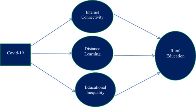 Educational inequality and distance learning