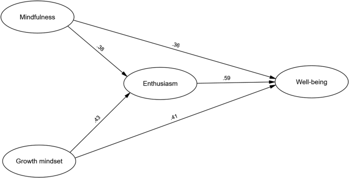 The mediating role of teaching enthusiasm in the relationship between ...