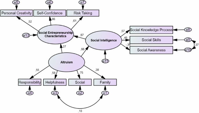 Exploring the effect of altruism on social entrepreneurship characteristics: the mediating role of social intelligence