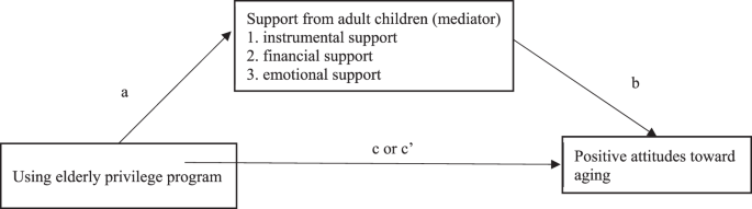 Using elderly privilege program and positive attitudes toward aging among Chinese older adults: the mediating role of support from adult children