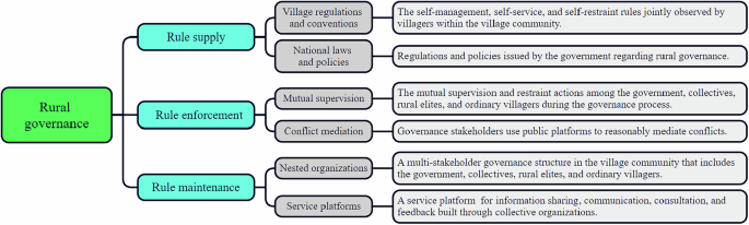 Digital transformation in rural governance: unraveling the micro-mechanisms and the role of government subsidies