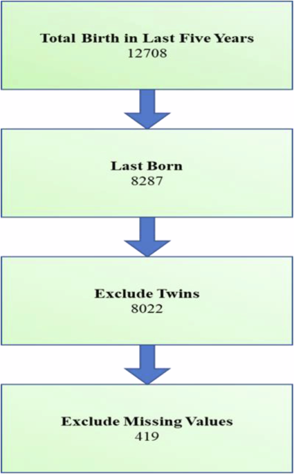 The relationship between healthcare professionals and under-five mortality: the mediating role of environmental hygiene and the moderating effect of maternal education