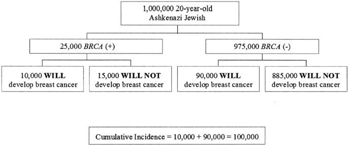 An Evaluation Of Brca1 And Brca2 Founder Mutations Penetrance Estimates For Breast Cancer Among Ashkenazi Jewish Women Genetics In Medicine