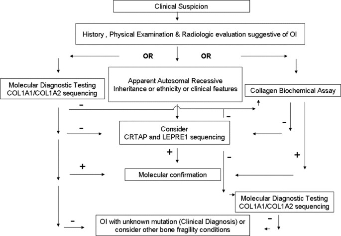 Understanding Osteogenesis Imperfecta: The Fragile Bone Disorder - Classification of OI