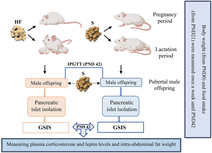 ishigaki glutathione intake Embryonic and Neonatal Exposure to High-Fat Diet Disrupted Pancreatic Oxidative and Endoplasmic Reticulum Homeostasis Alongside Islet Insulin Output in Pubertal Rats | Journal of Evolutionary Biochemistry and Physiology Thuốc Vinluta Glutathione 1200mg SELECT QUANTITY:6 Bottles 400MG