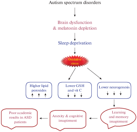 glutathione depletion and autism Learning Difficulties and Oxidative Stress in Autism Spectrum Disorder: A  Review of the Role of Nutritional Interventions | Neurochemical Journal