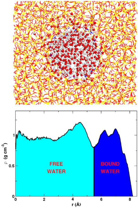 Exploring the Nanostructures Accessible to an Organic Surfactant  Atmospheric Aerosol Proxy