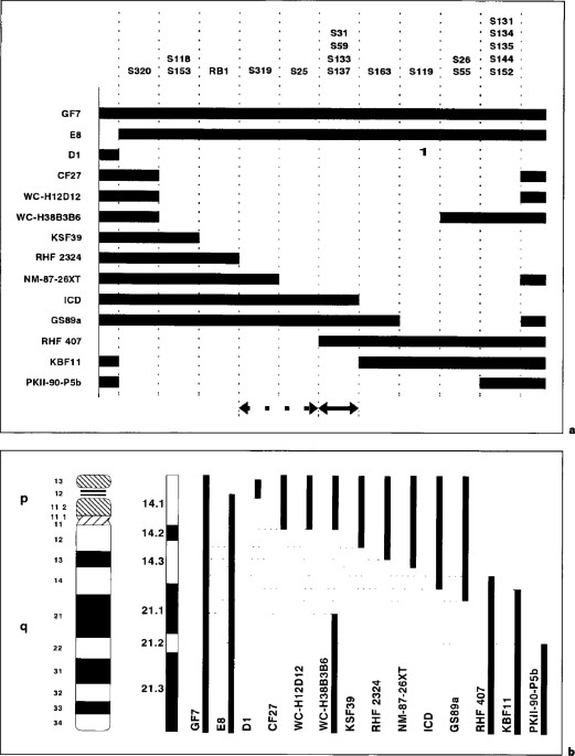 Dna diagnostics of the marfan syndrome: application of amplifiable polymorphic markers