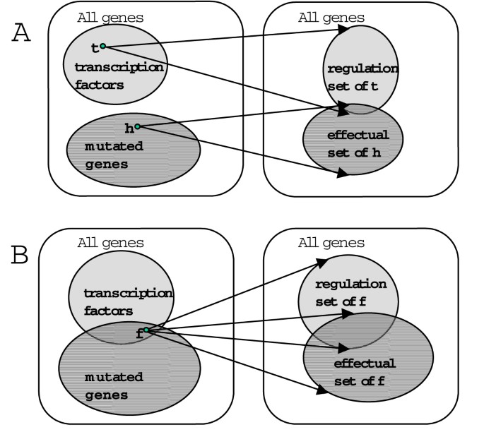 Network-based approaches for modeling disease regulation and