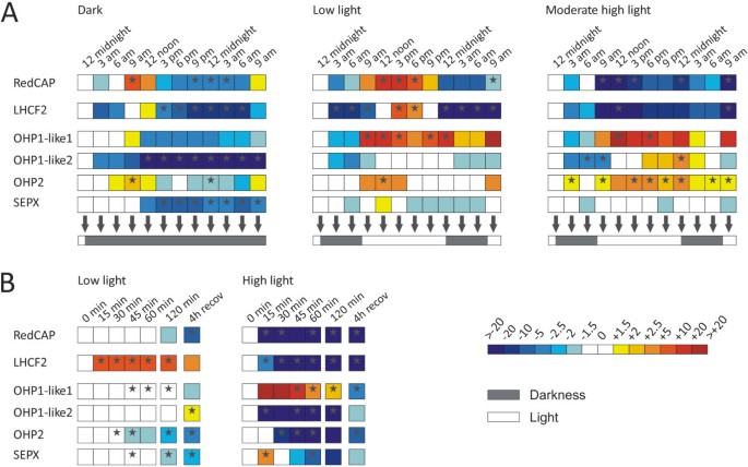 The Extended Light-Harvesting Complex (LHC) Protein Superfamily:  Classification and Evolutionary Dynamics