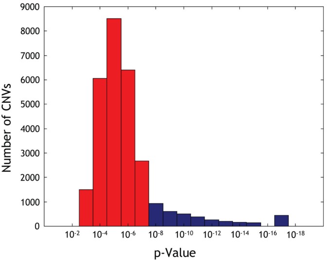 High frequency of copy number imbalances in Rubinstein–Taybi