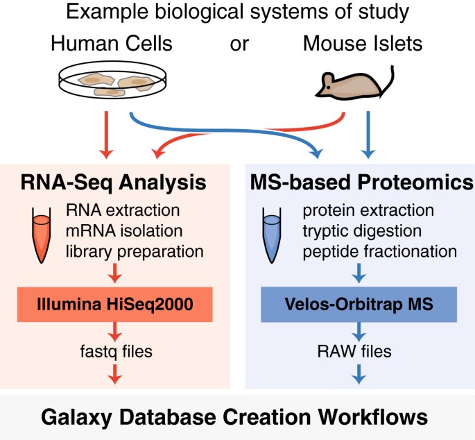 Using Galaxy-P to leverage RNA-Seq for the discovery of novel protein  variations | BMC Genomics | Full Text