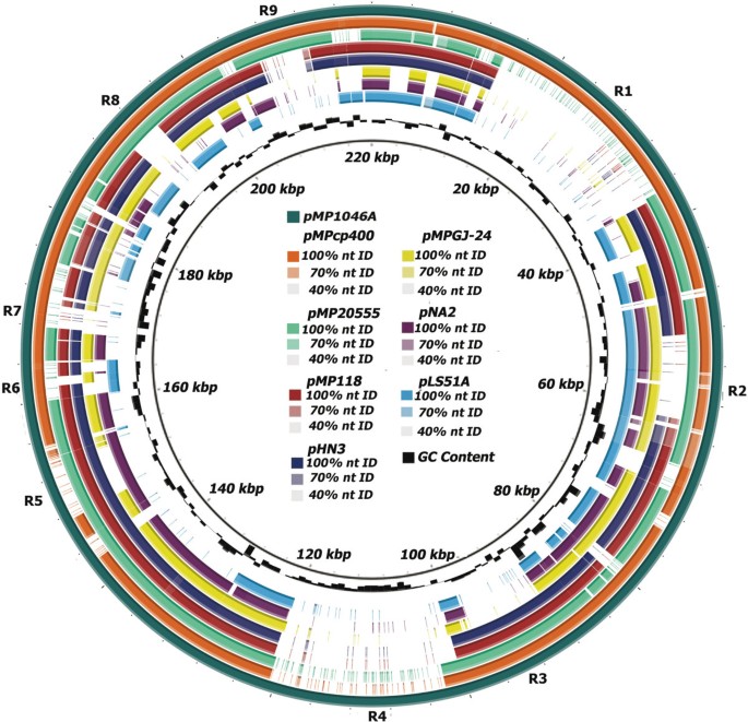 Unusual genome complexity in Lactobacillus salivarius JCM1046 | BMC  Genomics | Full Text