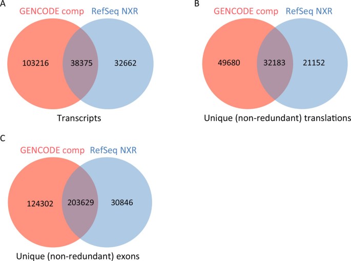 Human Gene ADAM17 (ENST00000310823.8) from GENCODE V43