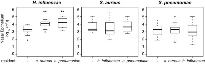 Nose picking is major source of S. pneumoniae colonization