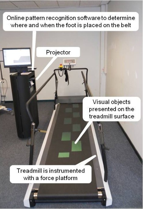 https://media.springernature.com/m685/springer-static/image/art%3A10.1186%2F1471-2318-13-34/MediaObjects/12877_2012_Article_842_Fig1_HTML.jpg