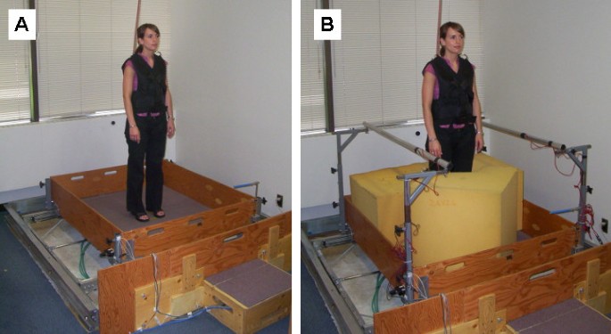 PDF) A perturbation-based balance training program for older adults: Study  protocol for a randomised controlled trial