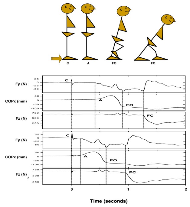 PDF) A perturbation-based balance training program for older adults: Study  protocol for a randomised controlled trial