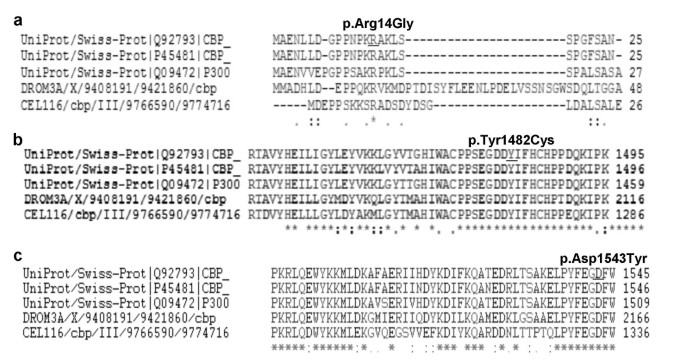 Rubinstein-Taybi Syndrome: spectrum of CREBBP mutations in Italian patients, BMC Medical Genetics