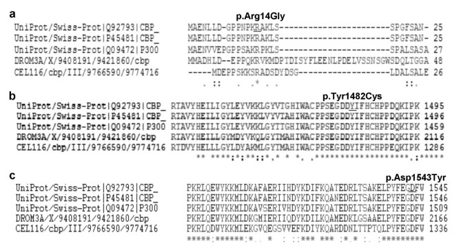 Microdeletions and mutations of CREBBP (CBP) gene can cause