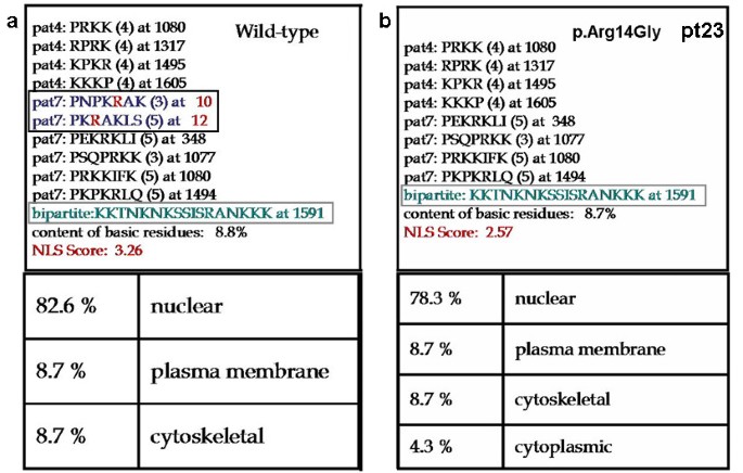 CREBBP and EP300 mutational spectrum and clinical presentations in a cohort  of Swedish patients with Rubinstein–Taybi syndrome - Wincent - 2016 -  Molecular Genetics & Genomic Medicine - Wiley Online Library