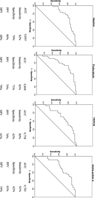 There is no correlation between podocyturia and the variables age