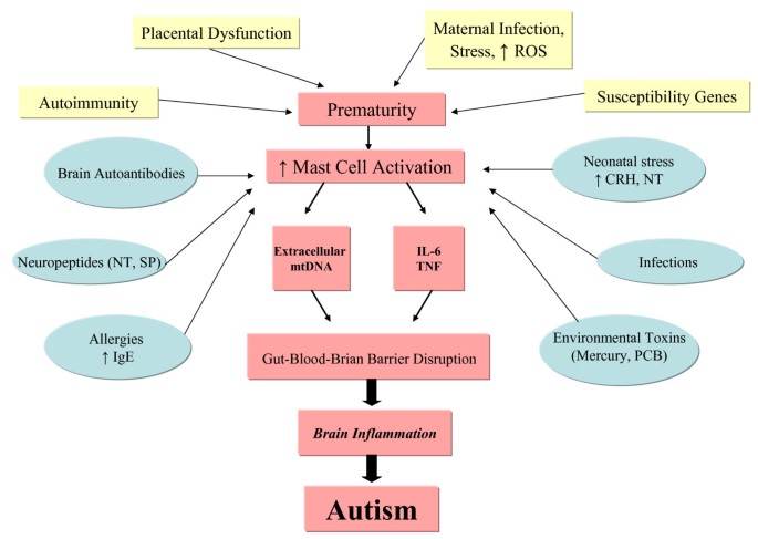 glutathione autism parents Perinatal stress, brain inflammation and risk of autism-Review and proposal | BMC Pediatrics Hemp-Free