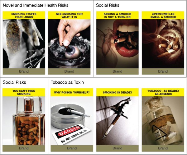 results of smoking cigarettes A qualitative exploration of young adult smokers' responses to novel  tobacco warnings | BMC Public Health