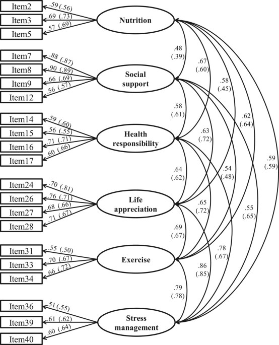 Validation of the shortened 24-item multidimensional assessment of