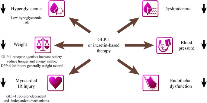 dpp4 and glp 1 mechanism of action A Comprehensive Review on Dipeptidyl Peptidase-4 (DPP-4) Inhibitors:  Mechanism, Therapeutic Applications, and Future Perspectives