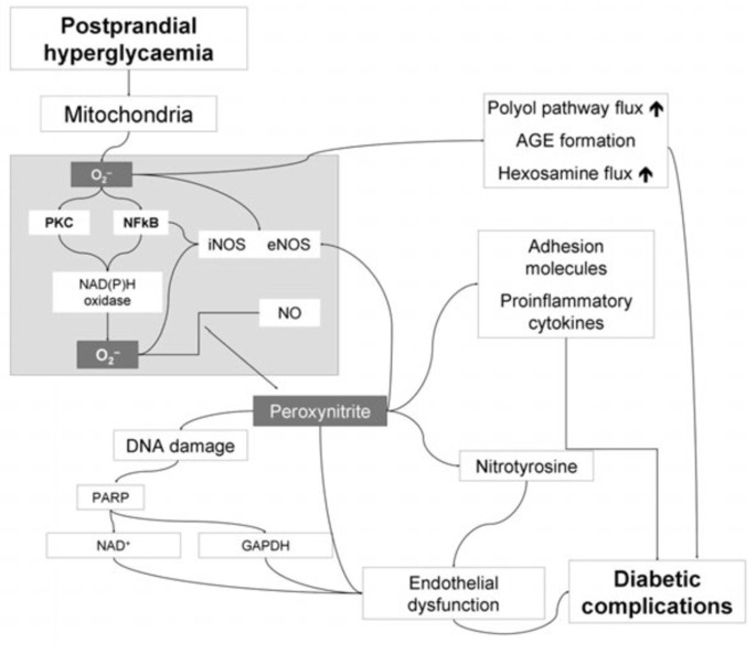 The Complex Relationship Between Type 1 Diabetes and Fatigue– Kaio-Dia