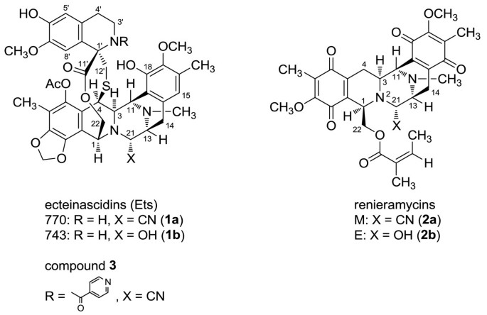 Synthesis of the Tetrahydroisoquinoline Alkaloid (±)-Renieramycin