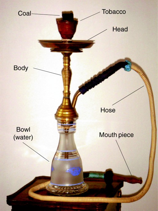 Motives, beliefs and attitudes towards waterpipe tobacco smoking: a  systematic review, Harm Reduction Journal