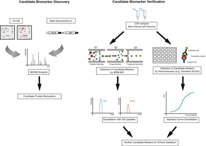 Multidimensional LC Separations in Shotgun Proteomics