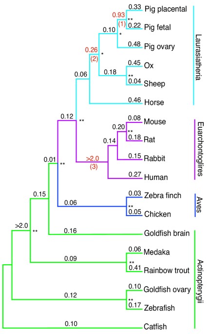 The planetary biology of cytochrome P450 aromatases, BMC Biology