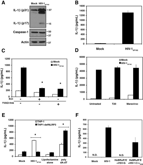 Hiding in Plain Sight: How HIV Evades Innate Immune Responses: Cell